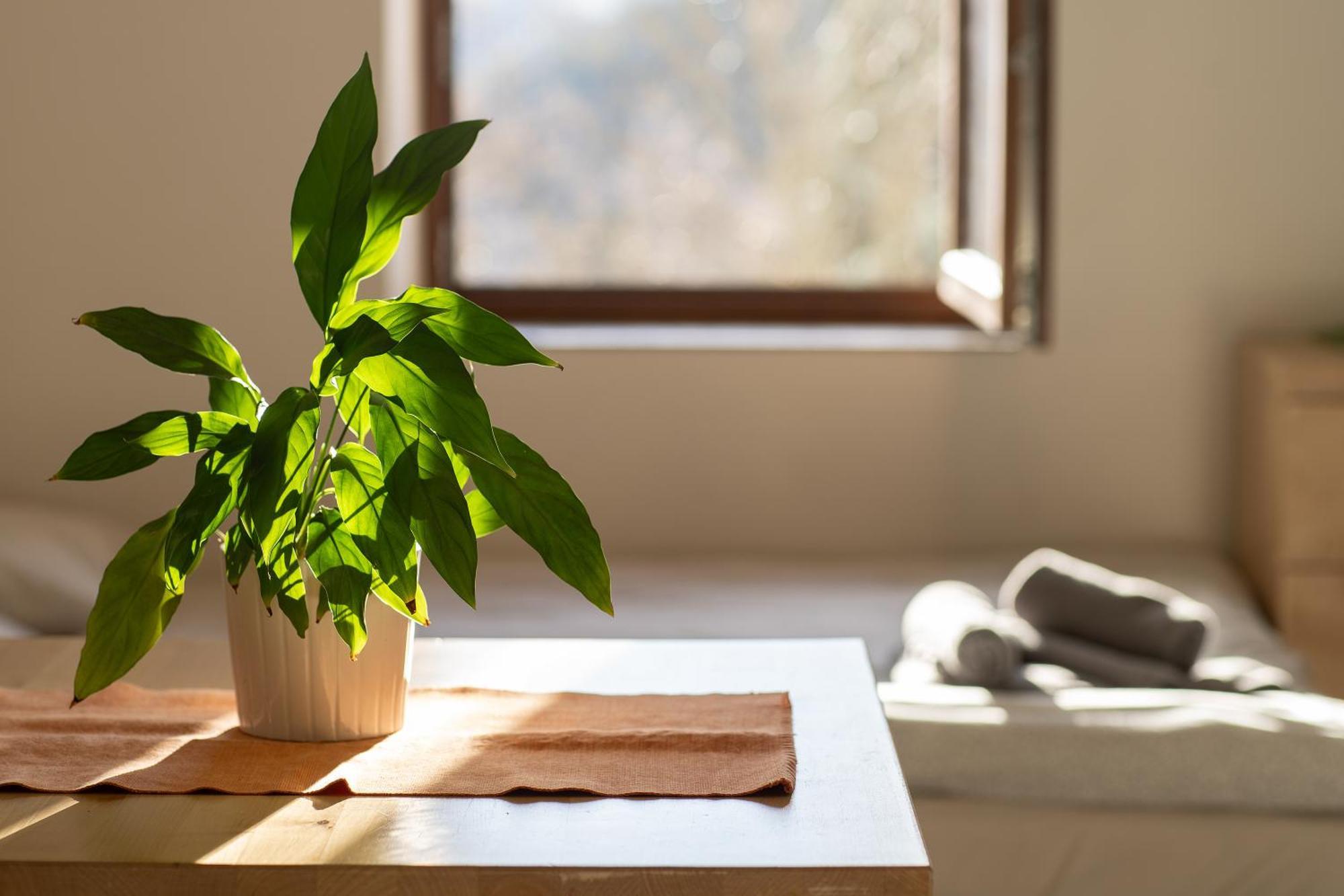 Apartmany Pro Rodiny S Detmi - Permonik Dolní Malá Úpa Buitenkant foto
